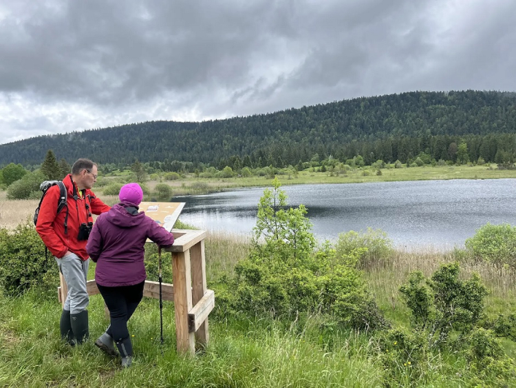 Découvrir les tourbières : soirée thématique ce sois dans le Jura