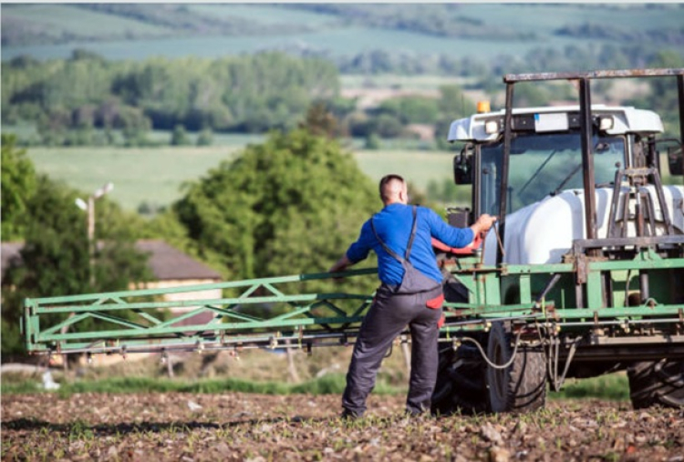 Loi d'urgence agricole : les d&eacute;put&eacute;s adoptent le texte