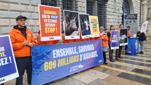 Mobilisation au centre-ville de Besançon 