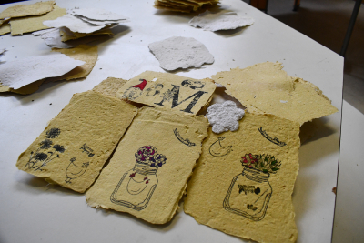 Levier : Les &laquo; cartes &agrave; planter &raquo; des coll&eacute;giens