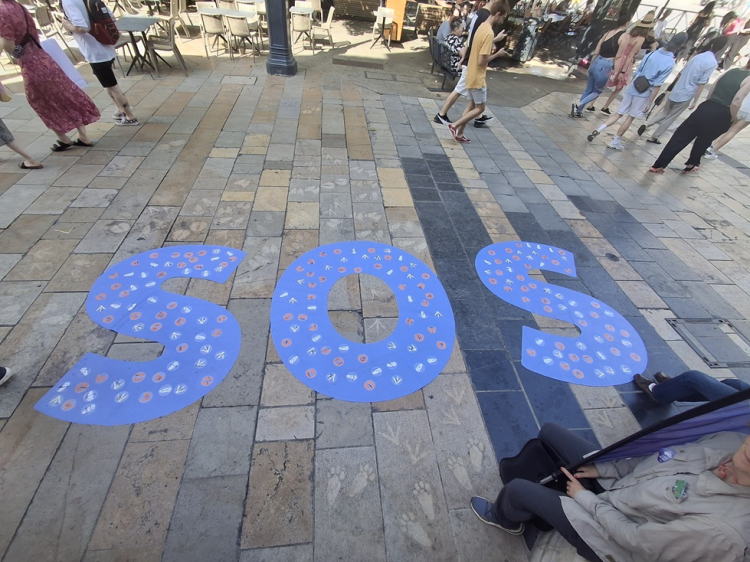 Besançon / L214 interpelle la maire : 44 millions d’animaux tués depuis 2020