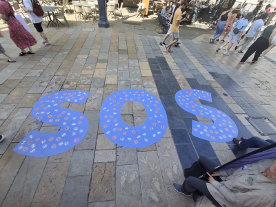 Besan&ccedil;on / L214 interpelle la maire : 44 millions d&rsquo;animaux tu&eacute;s depuis 2020