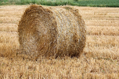 Accord du Mercosur : &laquo; un coup de poignard &raquo; pour les agriculteurs franc-comtois