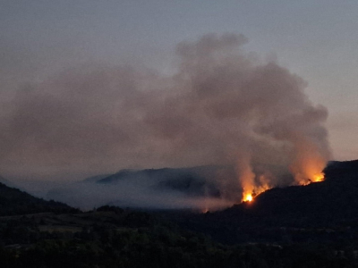 Feux de for&ecirc;t dans le Jura : le point sur la situation