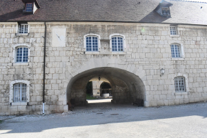 Naya, la dernière tigresse du Muséum, a quitté la Citadelle